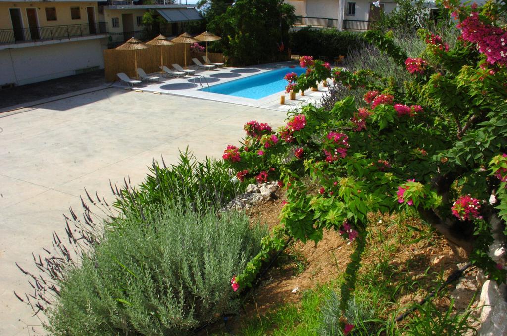 Ψιλή Άμμος Hotel Tolo Exterior photo